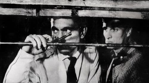 Zımba Gibi Delikanlı Bild 1