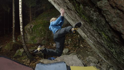 The Lappnor Project Bild 2