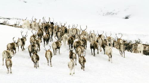 Unsere Wildnis Bild 3