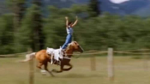 Abenteuer auf der Wildwasser-Ranch Bild 4