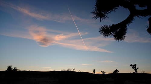 Existential Action Thriller Bild 1