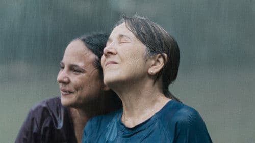 Querido Trópico Bild 1