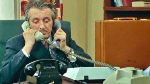 Czterdziestolatek Bild 2