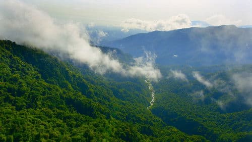 Planète Terre II Bild 4