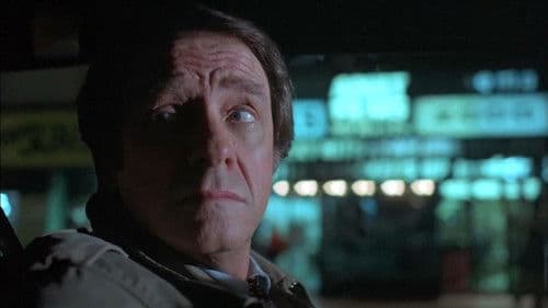 Stone Cold Dead Bild 3