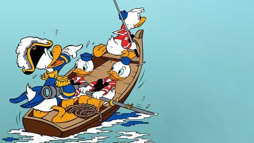 Donald auf großer Fahrt Bild 5