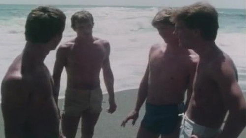 Sailor in the Wild Bild 2