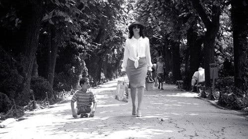 The Wild Dogs Bild 2