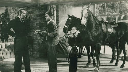 Der Tolpatsch Bild 4