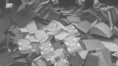 Mein Kampf: An Autopsy of Evil Bild 2