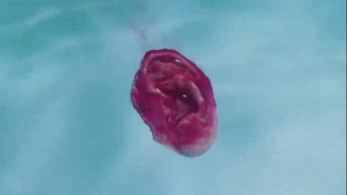 XX 美しき機能 Bild 5