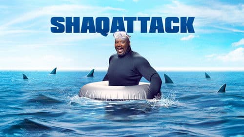 ShaqAttack Bild 1