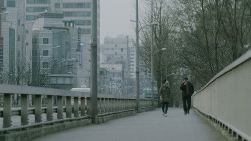 히치하이크 Bild 3