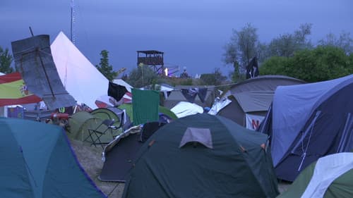 All Creatures Welcome Bild 2