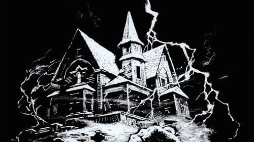 Das Haus an der Friedhofmauer Bild 7