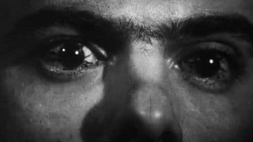 At Midnight I'll Take Your Soul Bild 8