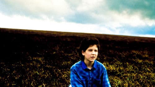 Paperhouse - Alpträume werden wahr Bild 6