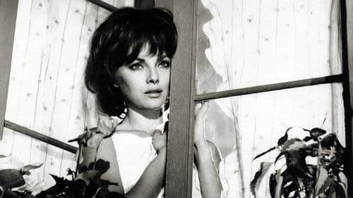 Aber, aber, meine Herren… Bild 1