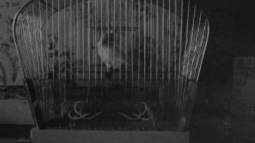 S.O.S. Fonske Bild 1