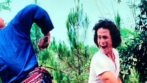 Serbuan Halilintar Bild 2