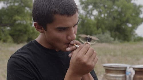 Songs My Brothers Taught Me Bild 3