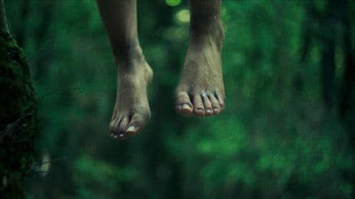 Plou i fa sol Bild 1