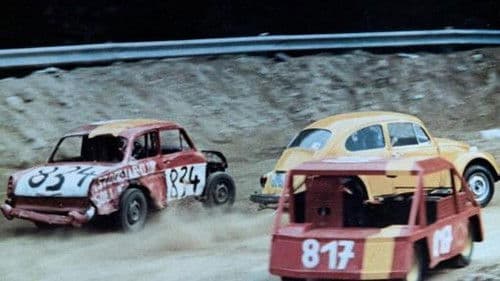 Zwei tolle Käfer räumen auf Bild 1