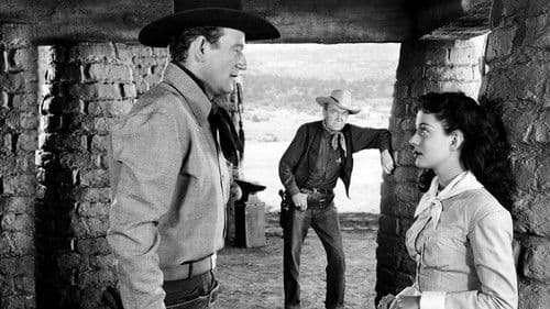 Der schwarze Reiter Bild 3