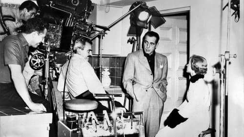 Bogart: Life Comes in Flashes Bild 2