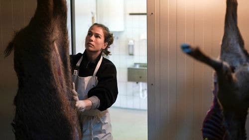 Schweigend steht der Wald Bild 5