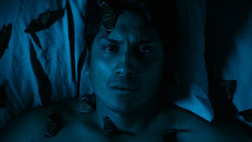 Hijo de monarcas Bild 4