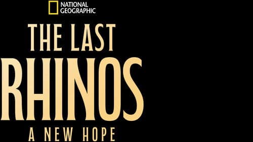 The Last Rhinos: A New Hope Bild 3
