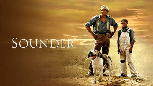 Sounder Bild 6