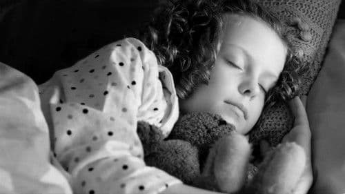 Butterfly Kisses Bild 1