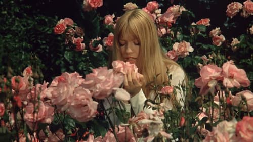 Die Sünde des Abbé Mouret Bild 5