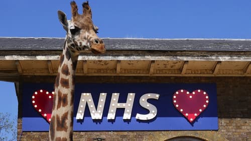 London Zoo: An Extraordinary Year Bild 2