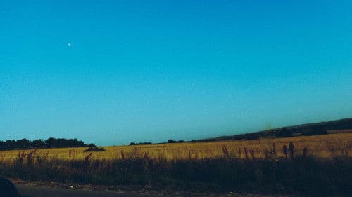 Moongazer's Moonlight Reverie Bild 1