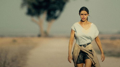 כיסופים Bild 1