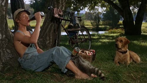 Rascal - Ein Frechdachs im Maisbeet Bild 4