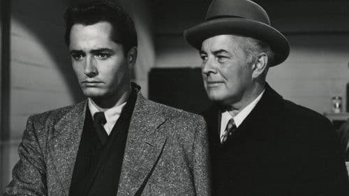 Saturday's Hero Bild 1