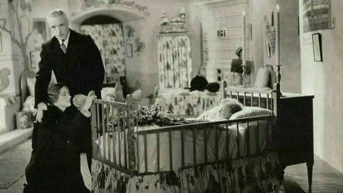 Wonder of Women Bild 2