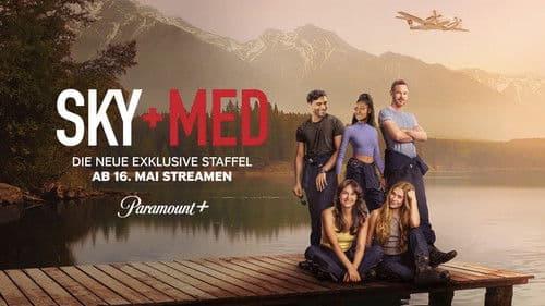 SkyMed Bild 4