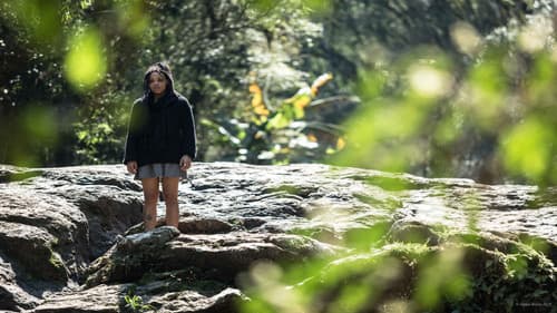 Quando Rio Perde Chão, Ele Vira Cachoeira Bild 1