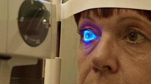 Das Auge - Forschung sehen Bild 3