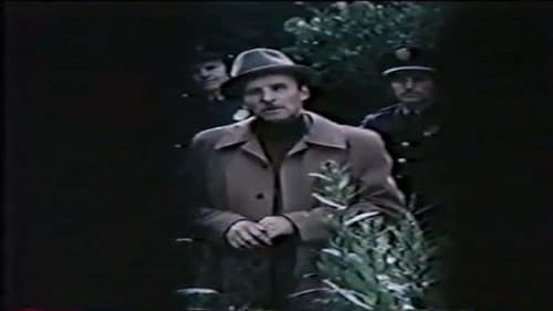 Бумеранг Bild 1