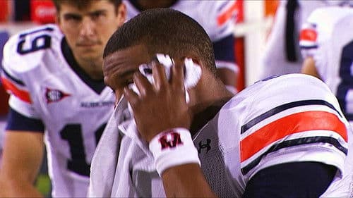 Roll Tide/War Eagle Bild 3