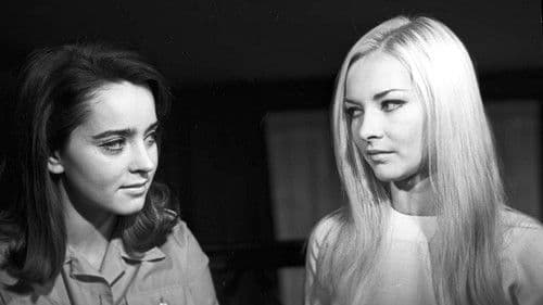 Zbrodniarz, który ukradł zbrodnię Bild 2