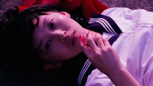 Turtle Vision Bild 4