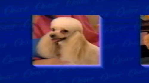 Oster Home Pet Grooming Video Bild 2