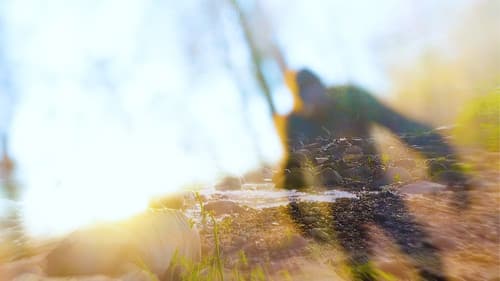 On The Trail of Bigfoot: The Last Frontier Bild 1